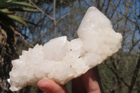 Natural Candle Quartz Clusters x 5 From Antsirabe, Madagascar