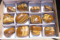 Polished Tiger's Eye Free Forms x 12 From Prieska, South Africa