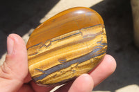 Polished Tiger's Eye Free Forms x 12 From Prieska, South Africa