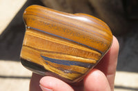 Polished Tiger's Eye Free Forms x 12 From Prieska, South Africa