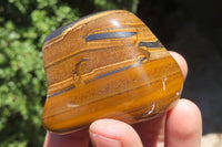 Polished Tiger's Eye Free Forms x 12 From Prieska, South Africa