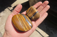 Polished Tiger's Eye Free Forms x 12 From Prieska, South Africa