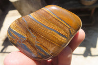 Polished Tiger's Eye Free Forms x 12 From Prieska, South Africa