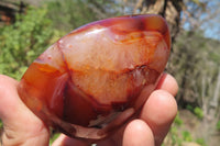 Polished Carnelian Standing Free Forms x 6 From Madagascar