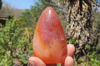 Polished Carnelian Standing Free Forms x 6 From Madagascar