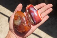 Polished Carnelian Standing Free Forms x 6 From Madagascar