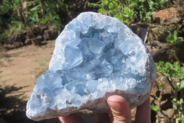 Natural Celestite Plate Specimen x 1 From Sakoany, Madagascar