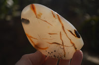 Polished Dendritic Agate Standing Free Forms x 4 From Madagascar