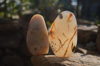 Polished Dendritic Agate Standing Free Forms x 4 From Madagascar