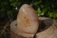 Polished Dendritic Agate Standing Free Forms x 4 From Madagascar