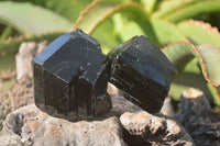 Natural Schorl Black Tourmaline Specimens x 6 From Erongo, Namibia