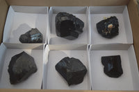 Natural Schorl Black Tourmaline Specimens x 6 From Erongo, Namibia