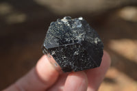 Natural Schorl Black Tourmaline Specimens x 6 From Erongo, Namibia