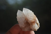 Natural Cactus Flower White Spirit Quartz Crystals and Clusters x 35 From Boekenhouthoek, South Africa