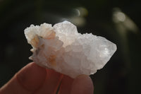 Natural Cactus Flower White Spirit Quartz Crystals and Clusters x 35 From Boekenhouthoek, South Africa