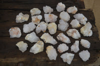 Natural Cactus Flower White Spirit Quartz Crystals and Clusters x 35 From Boekenhouthoek, South Africa