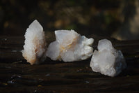 Natural Cactus Flower White Spirit Quartz Crystals and Clusters x 35 From Boekenhouthoek, South Africa