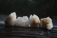 Natural Cactus Flower White Spirit Quartz Crystals and Clusters x 35 From Boekenhouthoek, South Africa