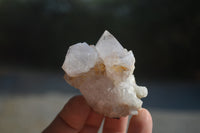 Natural Cactus Flower White Spirit Quartz Crystals and Clusters x 35 From Boekenhouthoek, South Africa