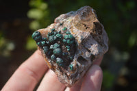 Natural Ball Malachite On Matrix Specimens x 8 From Kambove, Congo