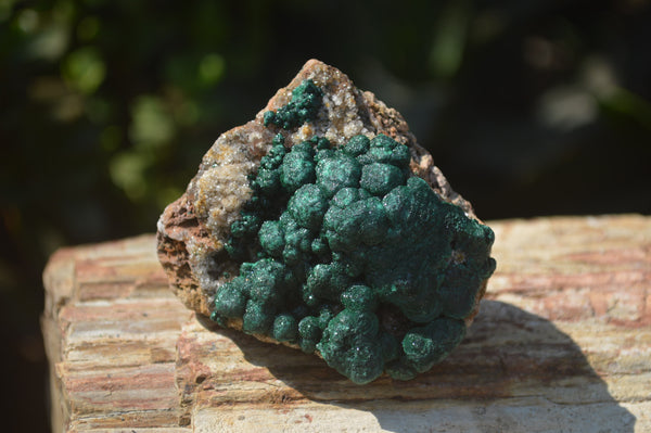 Natural Ball Malachite On Matrix Specimens x 8 From Kambove, Congo