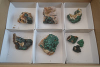 Natural Ball Malachite On Matrix Specimens x 8 From Kambove, Congo