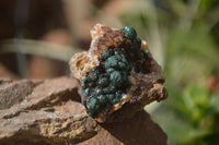 Natural Ball Malachite On Matrix Specimens x 8 From Kambove, Congo