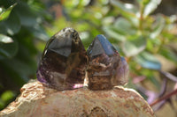 Polished Smokey Amethyst Window Quartz Points x 20 From Akansobe, Madagascar