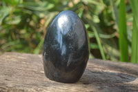 Polished Black Tourmaline Standing Free Forms x 2 From Madagascar