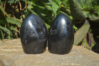 Polished Black Tourmaline Standing Free Forms x 2 From Madagascar