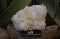 Natural Pineapple Candle Quartz Clusters x 2 From Antsirabe, Madagascar