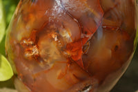 Polished Carnelian Standing Free Form x 2 from Madagascar