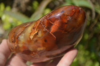 Polished Carnelian Standing Free Form x 2 from Madagascar