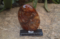 Polished Carnelian Standing Free Form x 2 from Madagascar