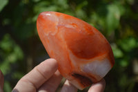 Polished Carnelian Standing Free Form x 2 from Madagascar