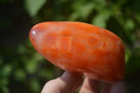 Polished Carnelian Standing Free Form x 2 from Madagascar