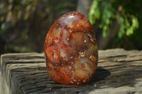 Polished Carnelian Standing Free Form x 2 from Madagascar