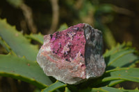 Natural Salrose Cobaltion Dolomite Specimens x 20 From Kakanda, Congo