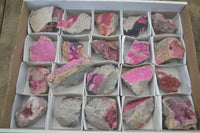 Natural Salrose Cobaltion Dolomite Specimens x 20 From Kakanda, Congo