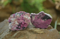 Natural Salrose Cobaltion Dolomite Specimens x 20 From Kakanda, Congo