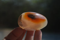 Polished Flower Agate Galet-Palm Stones x 12 From Antsahalova, Madagascar