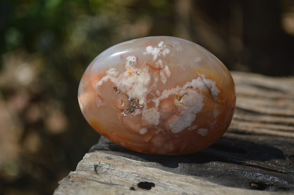 Polished Flower Agate Galet-Palm Stones x 12 From Antsahalova, Madagascar