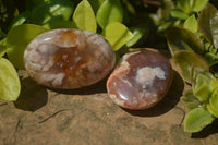 Polished Flower Agate Galet-Palm Stones x 12 From Antsahalova, Madagascar