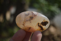 Polished Flower Agate Galet-Palm Stones x 12 From Antsahalova, Madagascar