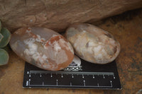 Polished Flower Agate Galet-Palm Stones x 12 From Antsahalova, Madagascar