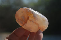 Polished Flower Agate Galet-Palm Stones x 12 From Antsahalova, Madagascar