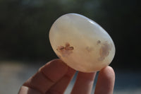 Polished Flower Agate Galet-Palm Stones x 12 From Antsahalova, Madagascar