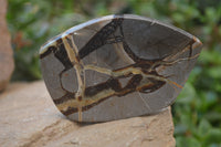 Polished Septerye Slices x 12 From Mahajanga, Madagascar