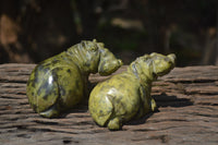 Polished Hand Made Leopard Stone Hippos X 2 From Zimbabwe