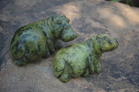 Polished Hand Made Leopard Stone Hippos X 2 From Zimbabwe